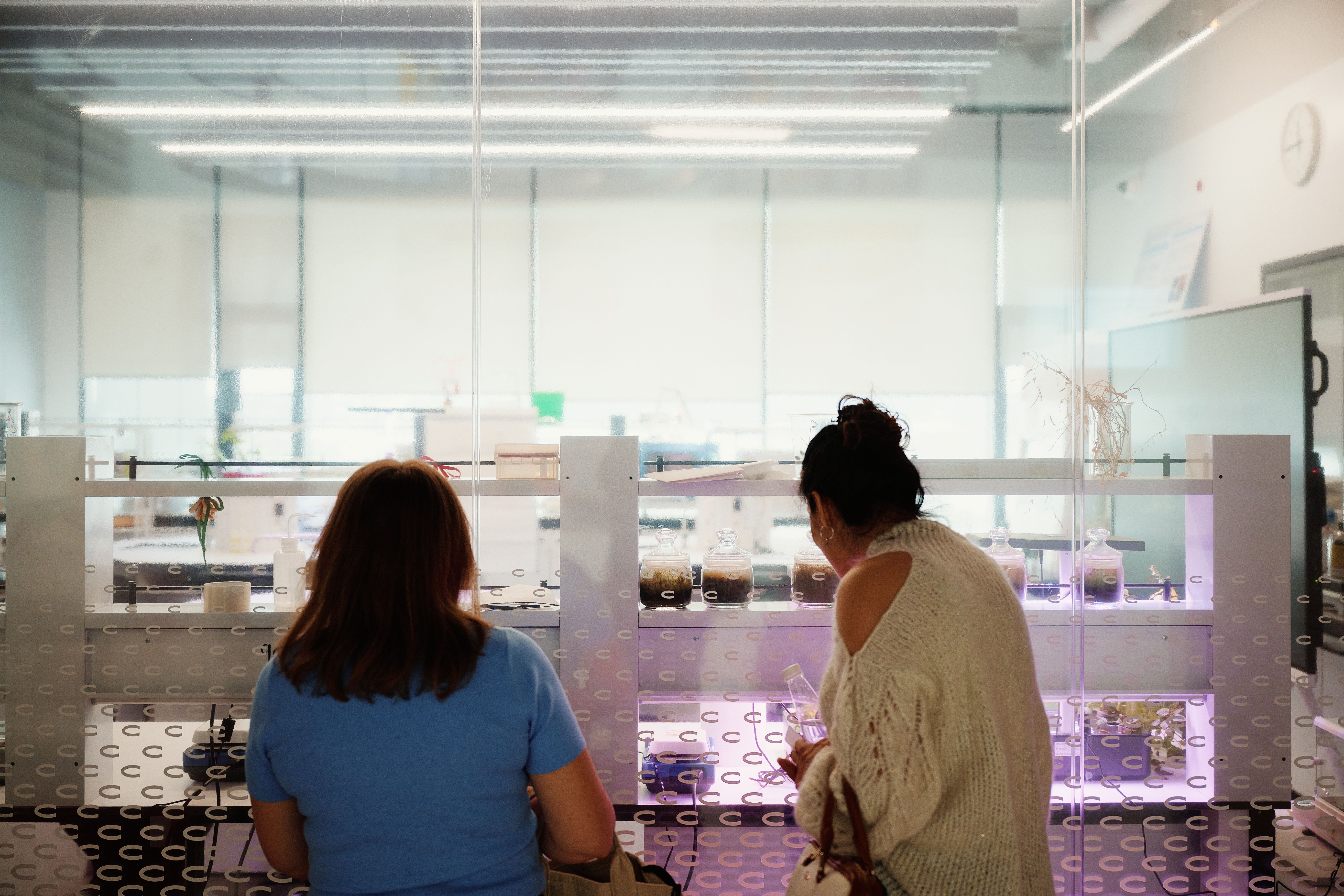 Экскурсия по кампусу школы